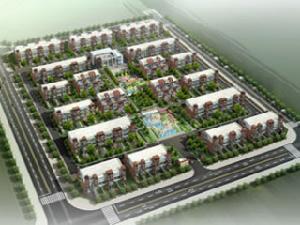 金龍逸海 金龍逸海