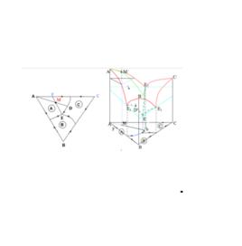 三組分系統 三組分系統