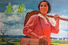 中國電影《春苗》海報