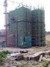 高層工程進度圖