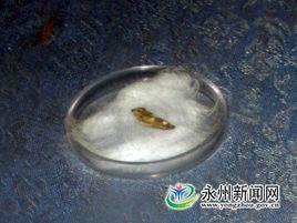 道縣玉蟾岩 道縣玉蟾岩