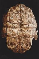 夏朝文字 夏朝文字