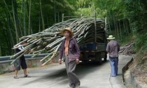 上金山村 上金山村