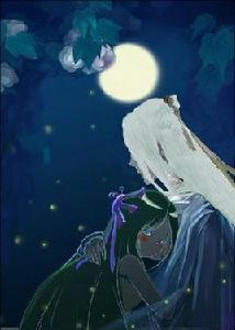 月夕成玦 月夕成玦