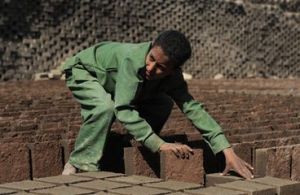 聯合國勞工組織 聯合國勞工組織