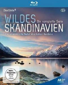 野性的斯堪的納維亞 野性的斯堪的納維亞