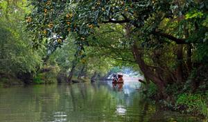 和睦濕地 和睦濕地