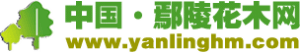 鄢陵花木網LOGO