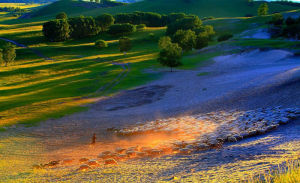 圍場壩上 圍場壩上