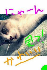 手機筆記本 手機筆記本