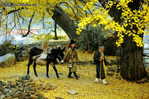 《聶隱娘》劇照