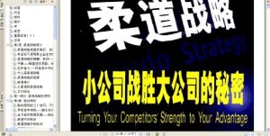 柔道戰略 柔道戰略