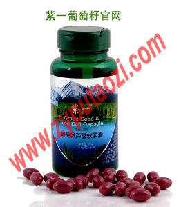 紫一葡萄籽蘆薈軟膠囊