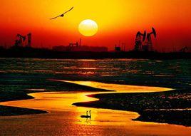 黃河口生態旅遊區 黃河口生態旅遊區