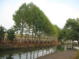 石江[黑田鋪鄉下轄村]