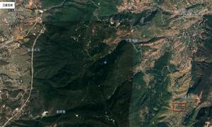 忠義村[雲南麗江七河鎮轄村]