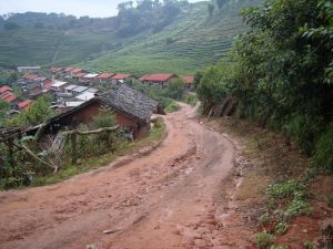 桃樹箐自然村 桃樹箐自然村