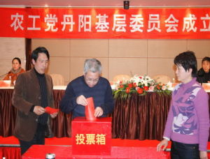 黨的基層委員會 黨的基層委員會