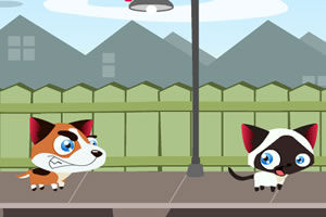 貓咪快跑 貓咪快跑