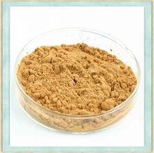 中藥提取物 中藥提取物