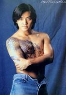 猛龍過江[1996年香港電影]