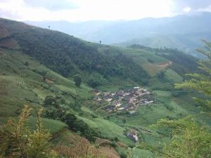 令地自然村 令地自然村