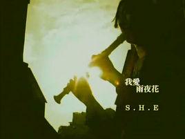 我愛雨夜花 我愛雨夜花