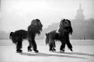 冰上遊戲 冰上遊戲