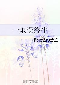 一炮誤終生 一炮誤終生