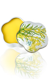 伊夫&middot;黎雪