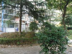 掬水公寓 掬水公寓