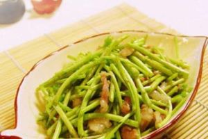 肉絲炒蘆蒿 肉絲炒蘆蒿