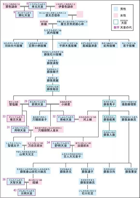 蘇我世系圖
