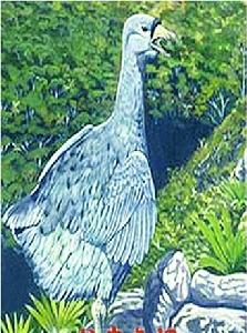 羅德里格斯愚鳩滅絕於1761年