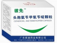 頭孢氨苄
