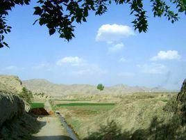 南望參古窯群遺址 南望參古窯群遺址