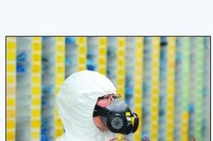 老年敢死隊奔赴福島