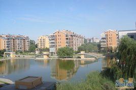 天秀花園 天秀花園