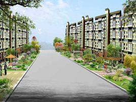 新築街道 新築街道