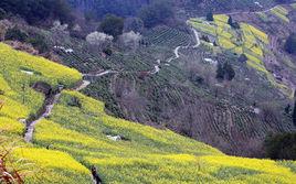 文昌古道 文昌古道