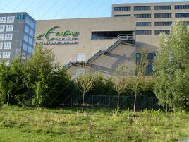 伊拉斯姆斯經濟學院 伊拉斯姆斯經濟學院