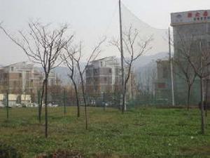 千禧國際村二期 千禧國際村二期