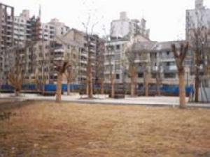 大華河畔華城一期 大華河畔華城一期