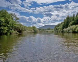 清河林業旅遊區 清河林業旅遊區