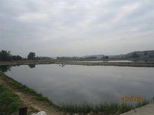 武陽村漁業發展