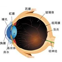 視網膜萎縮