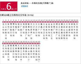 大嶺山公交6路 大嶺山公交6路