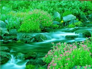 生查子&middot;春山煙欲收