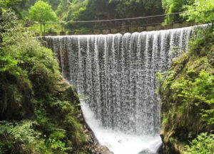 迎賓山森林公園 迎賓山森林公園