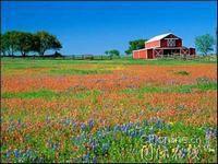 艷陽農莊 艷陽農莊